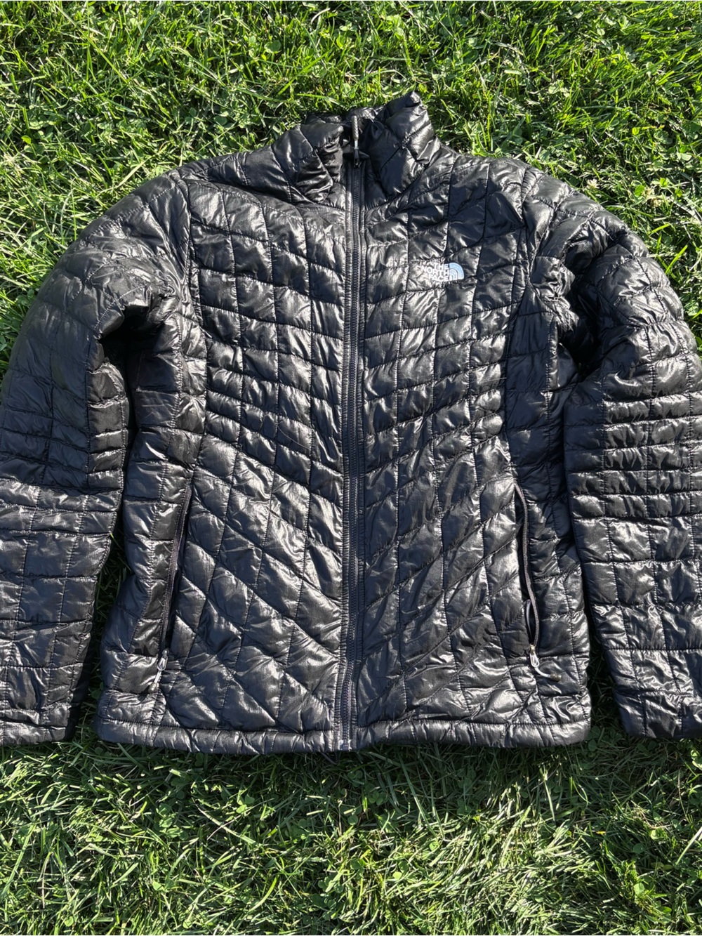 The North Face Men's Black Quilted Puffer Jacket
